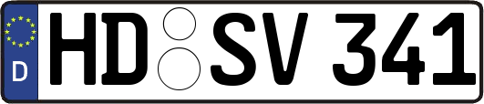 HD-SV341