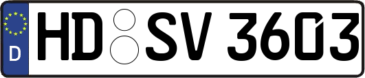 HD-SV3603