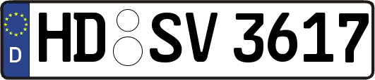 HD-SV3617