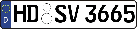 HD-SV3665
