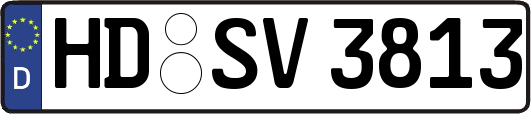 HD-SV3813