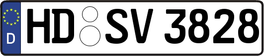 HD-SV3828