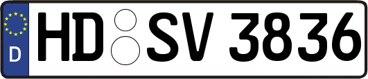 HD-SV3836