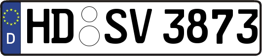 HD-SV3873