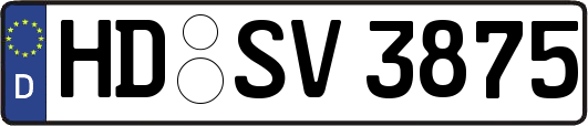 HD-SV3875