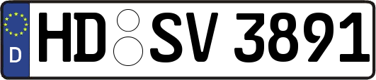 HD-SV3891