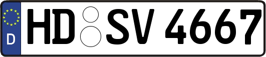 HD-SV4667