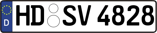 HD-SV4828