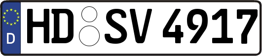 HD-SV4917
