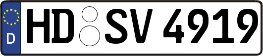 HD-SV4919
