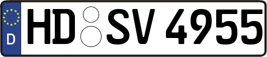 HD-SV4955