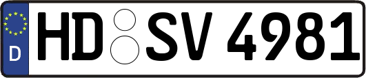 HD-SV4981