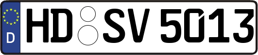 HD-SV5013