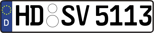 HD-SV5113