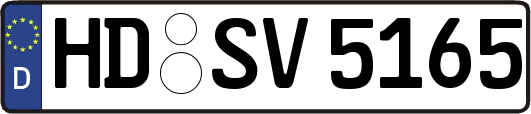 HD-SV5165