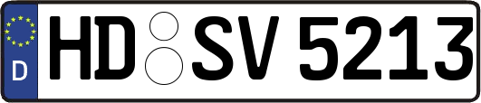 HD-SV5213