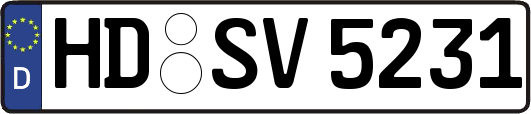 HD-SV5231
