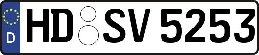 HD-SV5253