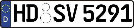 HD-SV5291