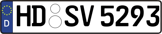 HD-SV5293