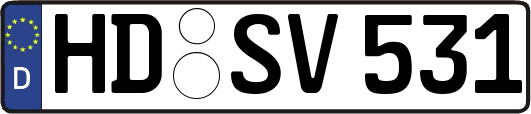 HD-SV531