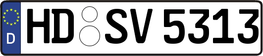 HD-SV5313