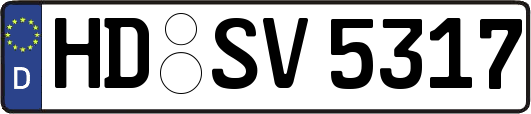 HD-SV5317