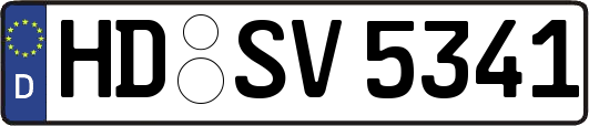 HD-SV5341