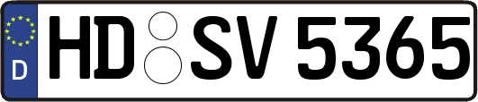 HD-SV5365