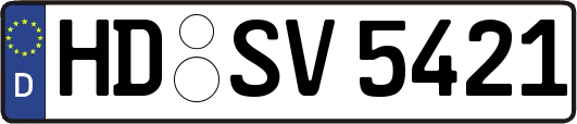 HD-SV5421