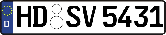 HD-SV5431