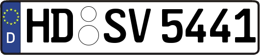 HD-SV5441
