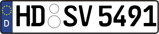 HD-SV5491