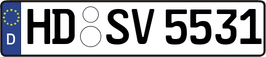 HD-SV5531