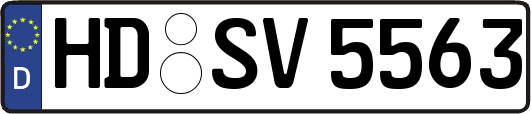 HD-SV5563
