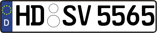 HD-SV5565