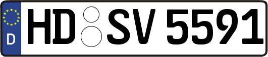 HD-SV5591