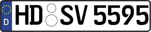 HD-SV5595
