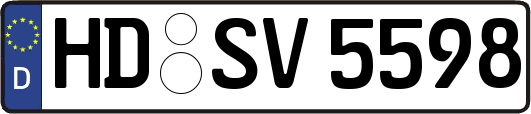 HD-SV5598