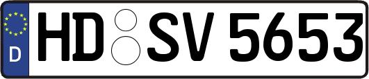 HD-SV5653
