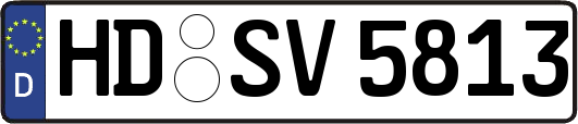 HD-SV5813