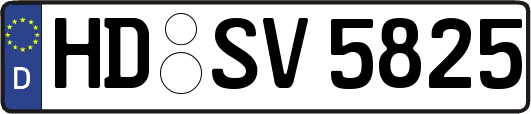 HD-SV5825
