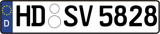 HD-SV5828