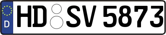 HD-SV5873