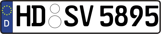 HD-SV5895