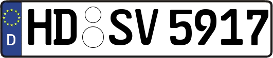 HD-SV5917