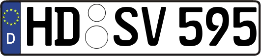 HD-SV595