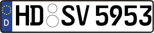HD-SV5953