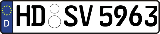 HD-SV5963