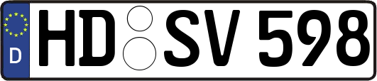 HD-SV598